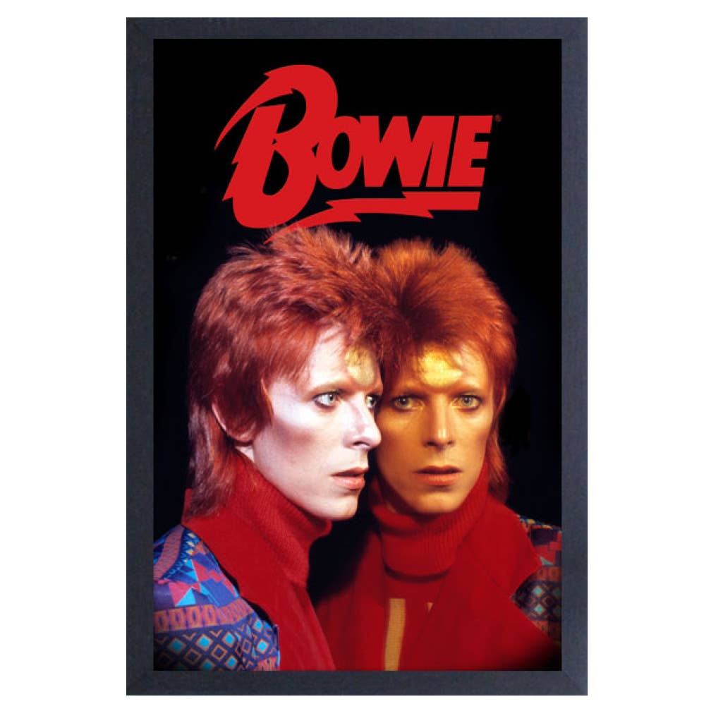 David Bowie Two Bowies 11